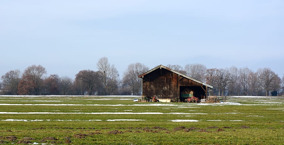 Meadow, Pasture, Winter, Barn, Scale, nature winter, rural Scene HD wallpaper