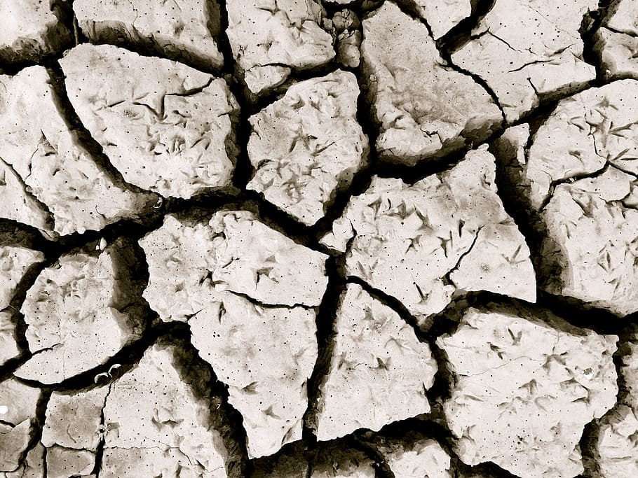 cracked brown soil, Earth, Drought, Ground, dry, nature, dirt HD wallpaper