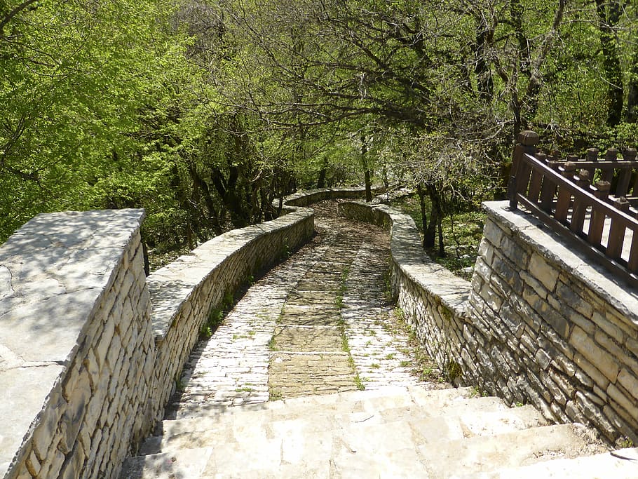 path, direction, road, way, trail, tree, plant, the way forward HD wallpaper