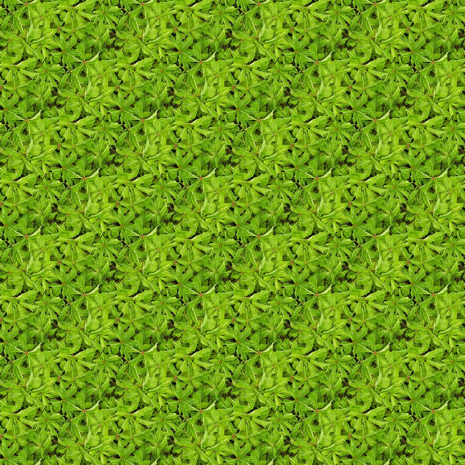 texture, seamless, plants, pattern, green color, full frame HD wallpaper