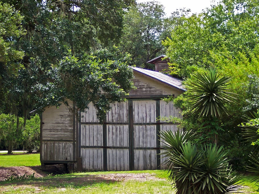 barn, building, trees, nature, wood, wooden, house, architecture HD wallpaper