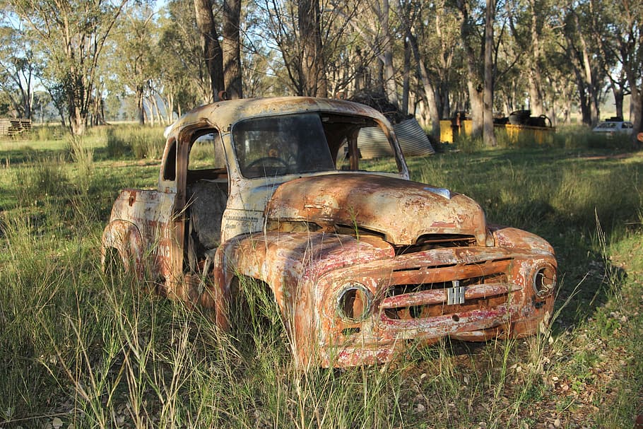 trees, rusty, old, vintage, international ute, abandoned, damaged HD wallpaper