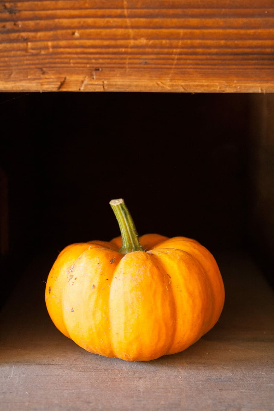 Halloween, Pumpkin, Autumn, Fall, Orange, october, harvest HD wallpaper