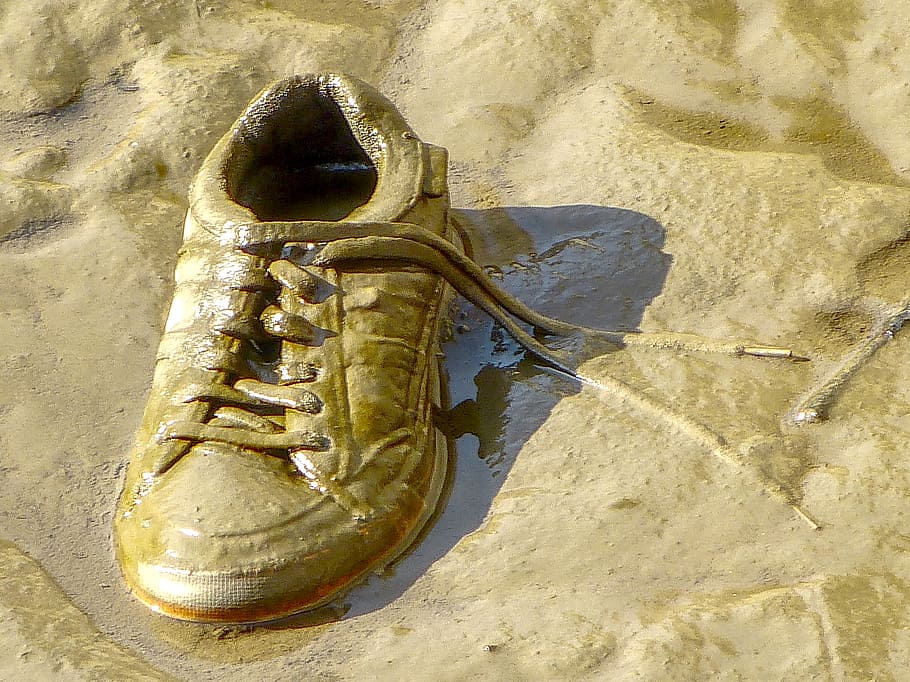 sneaker, shoes, mud, animal, sand, beach, land, no people, high angle view HD wallpaper