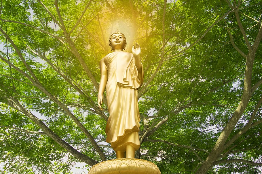 Buddha, Isolated, Gold, White, golden, statue, thailand, background, HD wallpaper