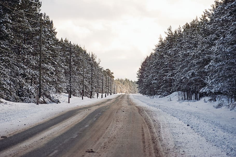 Winter road, landscape, snow, nature, cold - Temperature, tree HD wallpaper
