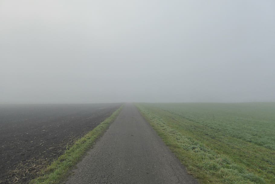 fog, arable, meadow, away, mood, environment, road, landscape HD wallpaper
