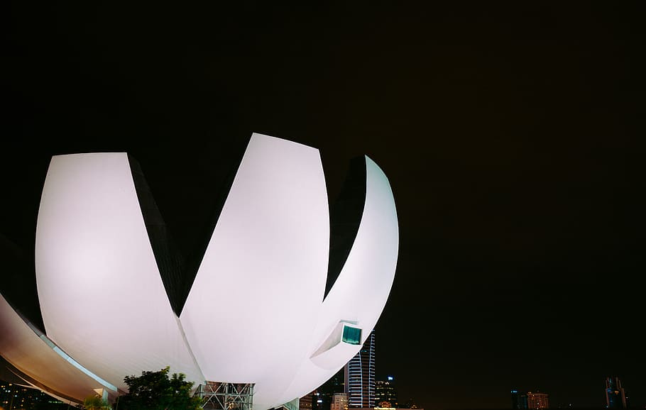 white flower form building at night, white structure building HD wallpaper