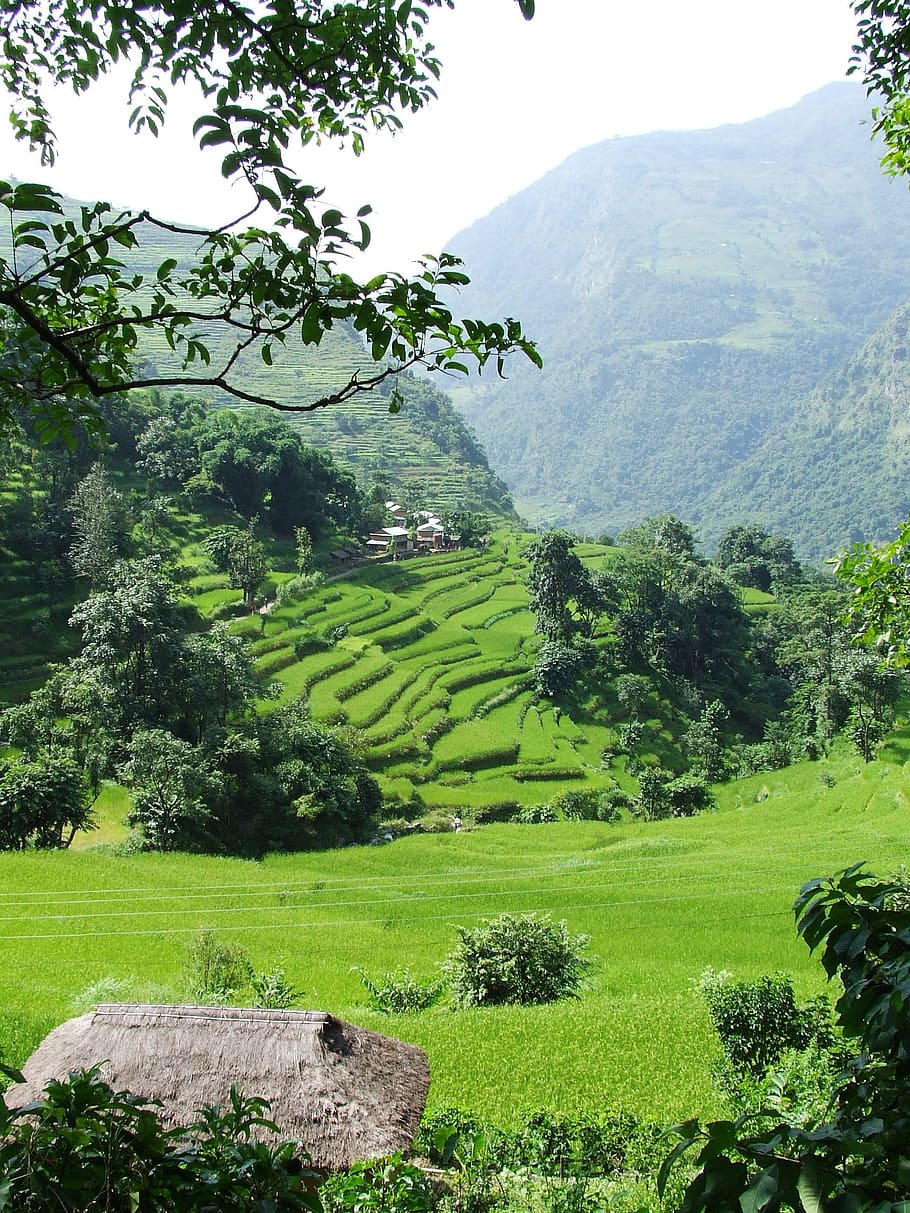 Annapurna Base Camp Trek - Shangrila Voyages