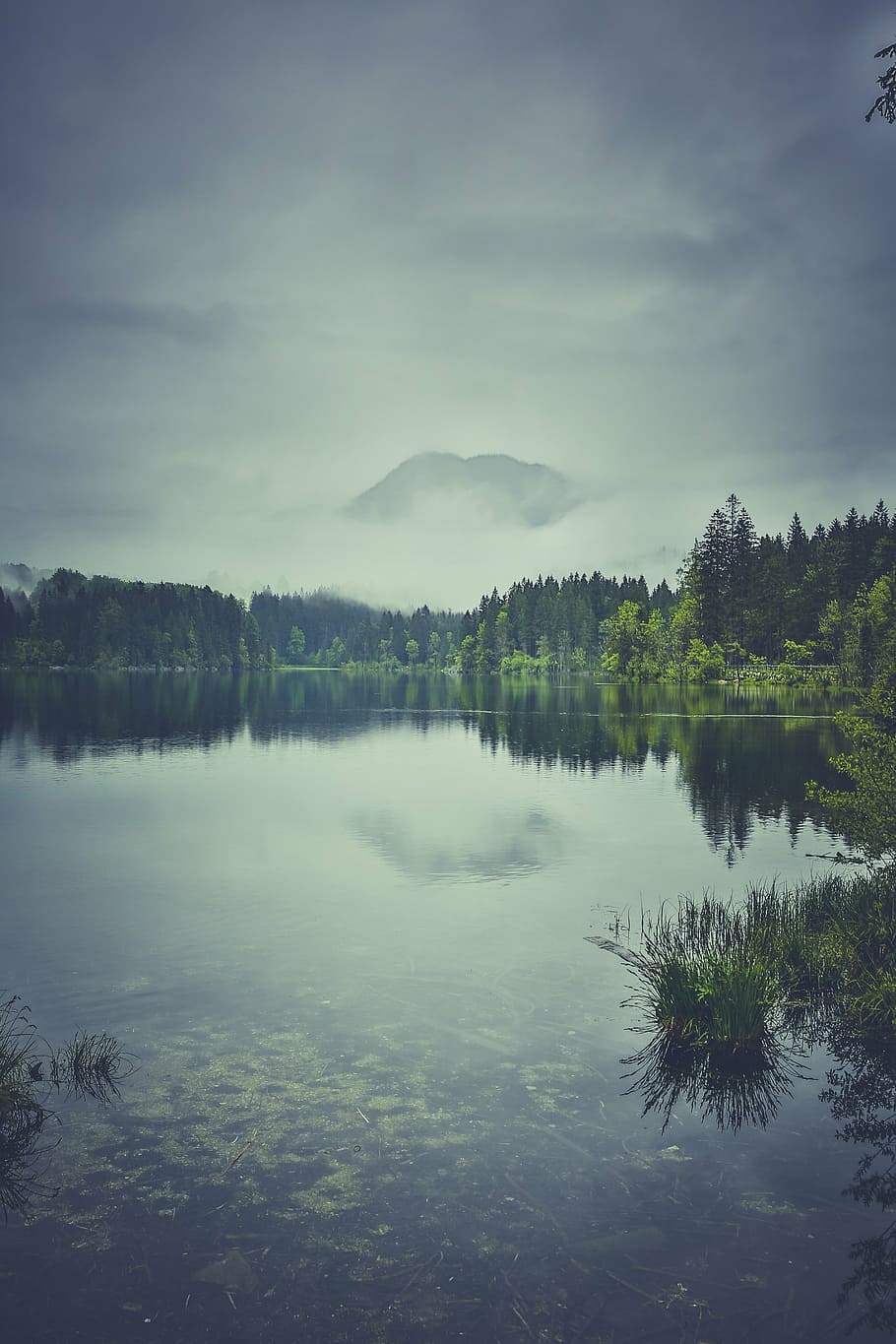 body of water surrounded by pine trees, photography, smoky HD wallpaper