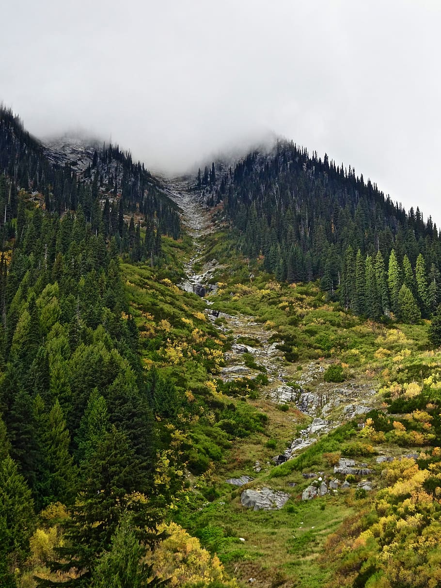 Valley, Cleaning, Forest, Mountains, environment, ecology, landscape HD wallpaper