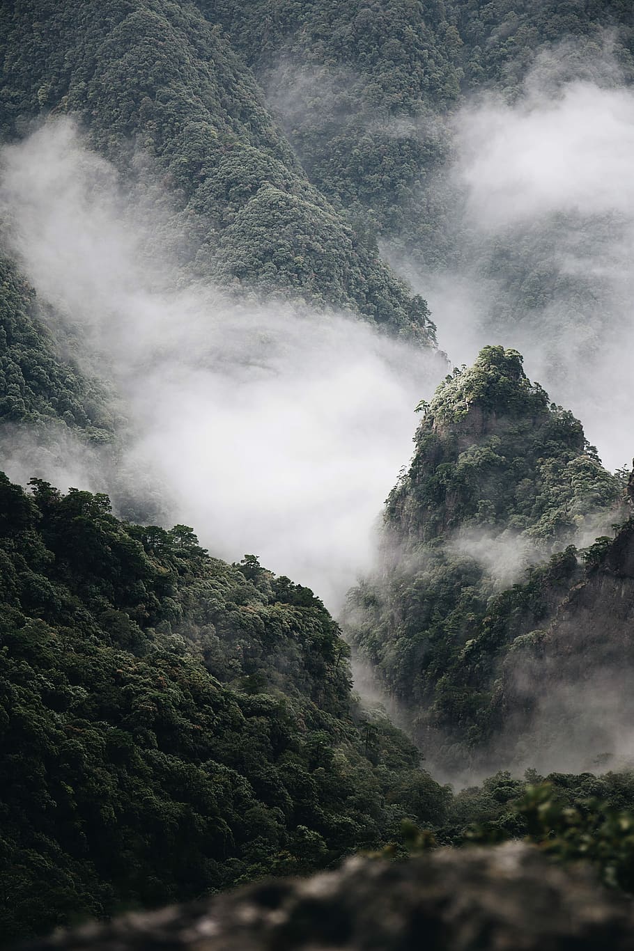 green tree lot covered by white clouds, fogs covering tress on mountain at daytime HD wallpaper