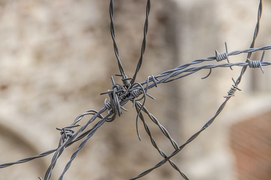 fence, wire, hawthorn, wired, security, protection, safety HD wallpaper