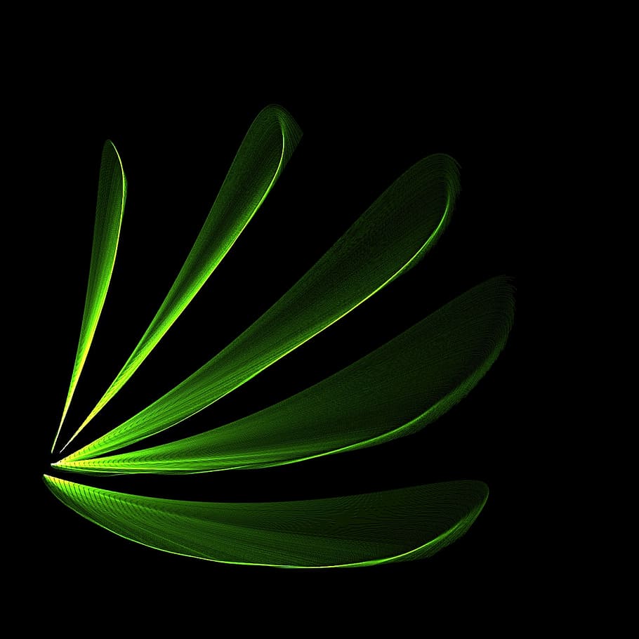 five green leaves, bright, abstract, background, studio shot HD wallpaper