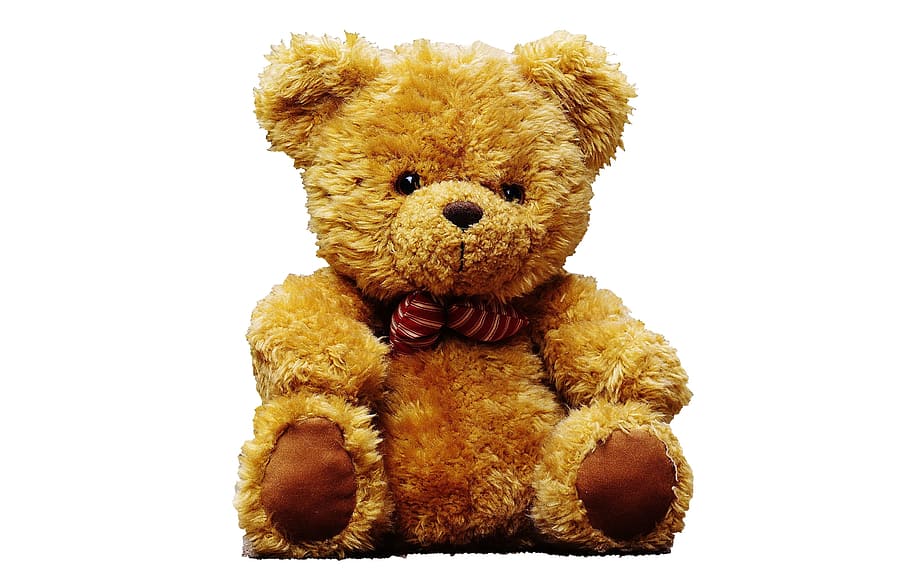brown bear plush toy, teddy bear, cute, soft, animal, white HD wallpaper