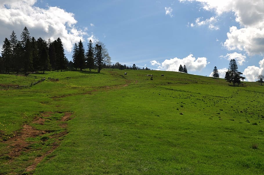 mountains, polyana, grass, sky, blue, nature, summer, meadow HD wallpaper