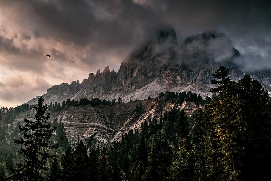 snow cover mountain during gray cloudy skies, mountain surrounded by pine trees under gray clouds HD wallpaper