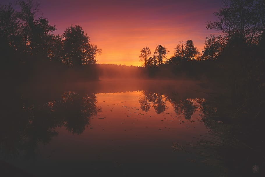 Autumn Sunrise over Pond, silhouette of trees reflected on water at sunset HD wallpaper