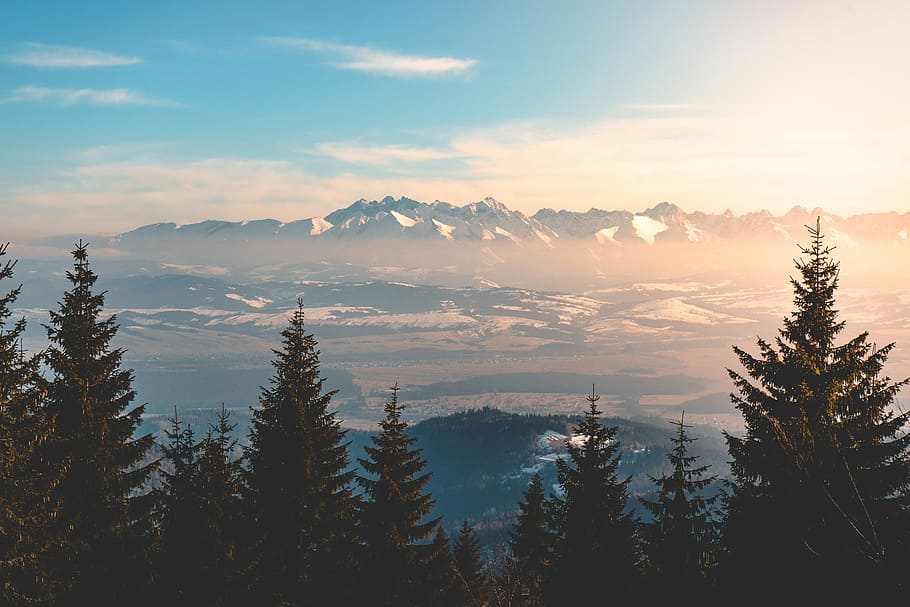 landscape photography of mountain during daytime, green pine tree landscape HD wallpaper