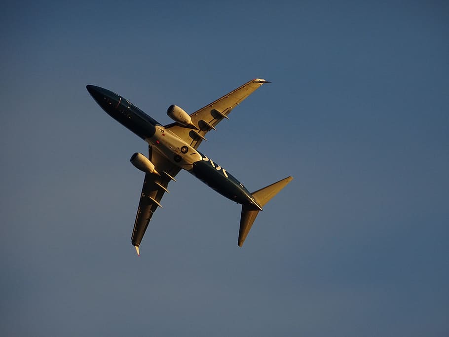 aircraft, sky, wing, engine, detail, technology, aircraft noise HD wallpaper