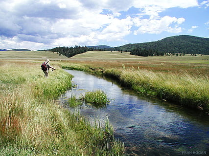man standing beside river wearing backpack, Fishing, Stream HD wallpaper