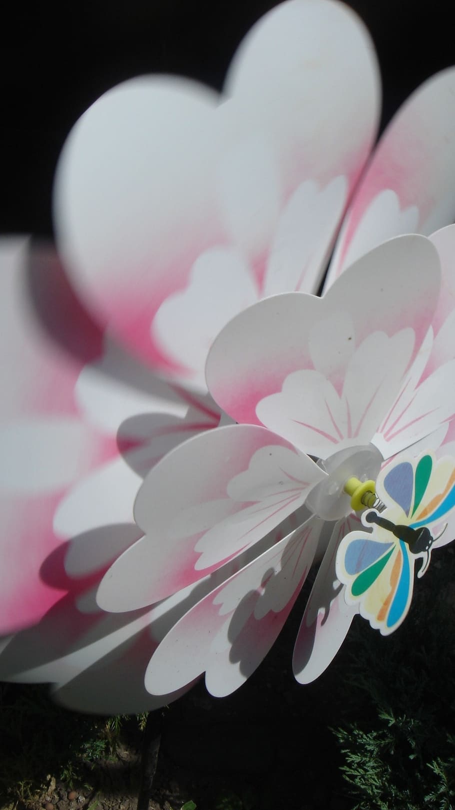 toy, wind, movement, flower, flowering plant, fragility, vulnerability HD wallpaper