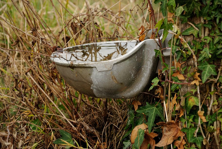 water, highlights, nature, source, plant, land, no people, day HD wallpaper