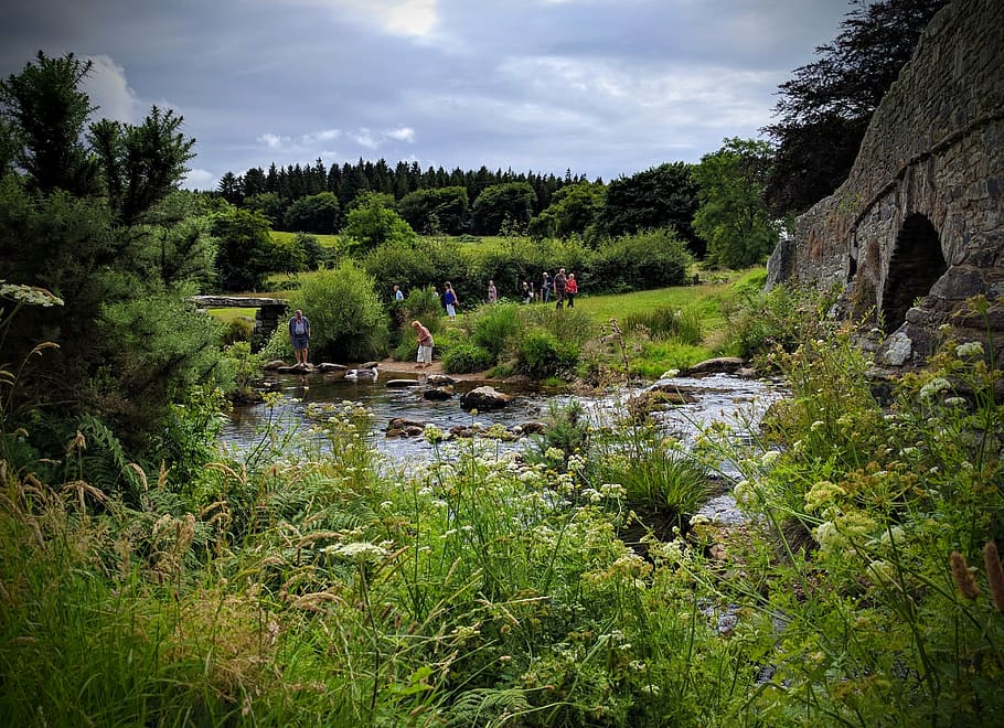 bridge, river, water, landmark, historic, uk, cornwall, trees HD wallpaper