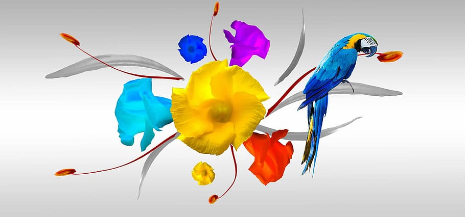 prints, tissues, design, multi colored, studio shot, yellow HD wallpaper
