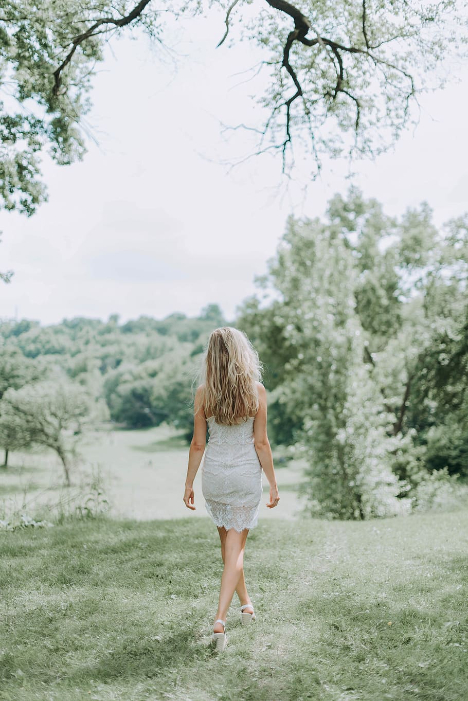 woman in grey dress walking, shallow focus photography of woman in dress standing on green grass during daytime HD wallpaper