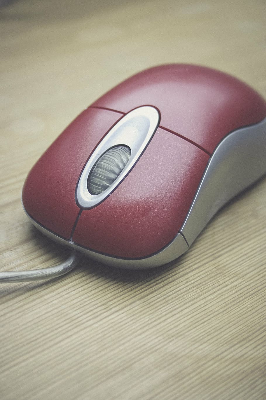 focus photo of red mouse, computer, input, device, hardware HD wallpaper