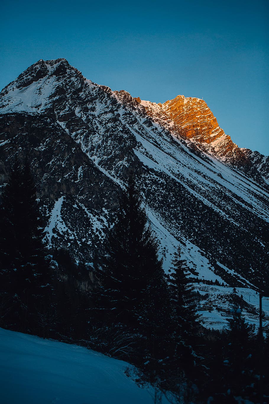 snow mountains surrounded with pine trees, mountain alps under blue sky HD wallpaper