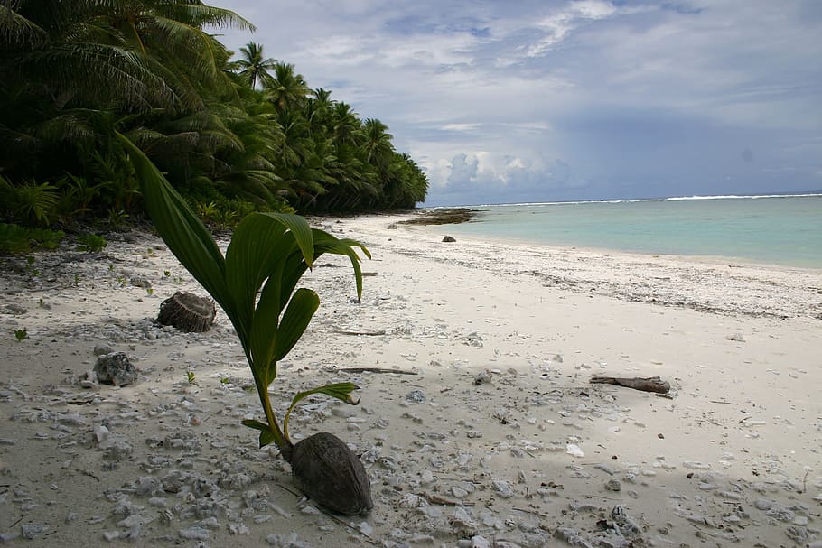 swains island, american samoa, sea, ocean, water, beach, sand, HD wallpaper