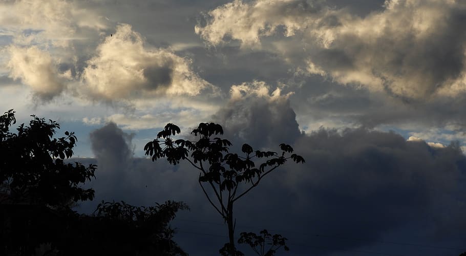 landscape, nature, clouds, tree, guatica, cloud - sky, beauty in nature HD wallpaper