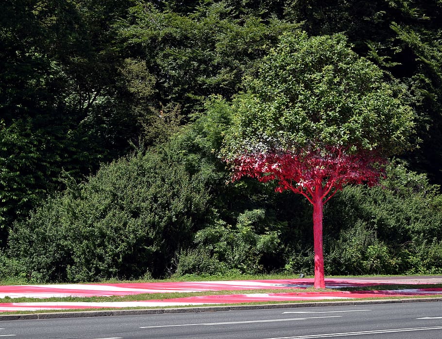 tree, red, colored, art, culture, city of culture, aarhus, denmark HD wallpaper