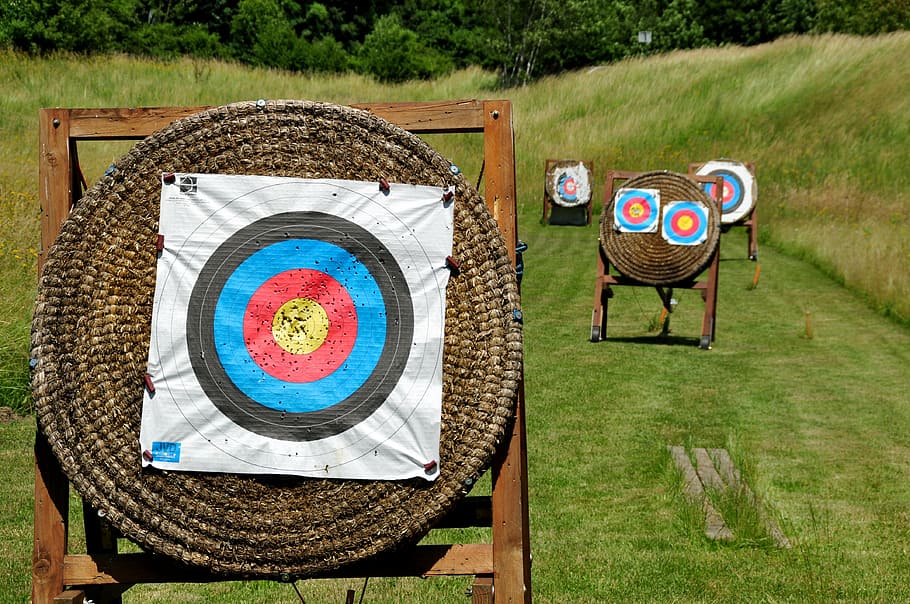 white, blue, and brown target shooting, archery, hits, middle HD wallpaper