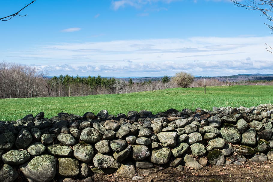 nature, tree, stone, outdoors, landscape, sky, grass, rock HD wallpaper
