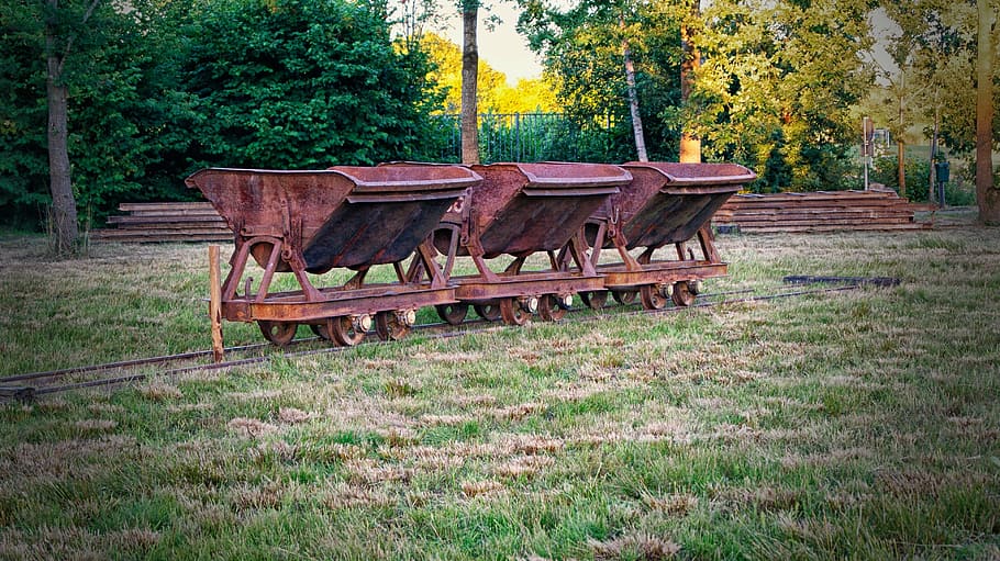 my, trolley's, dump carts, nature, outdoors, grass, tree, park - Man Made Space HD wallpaper