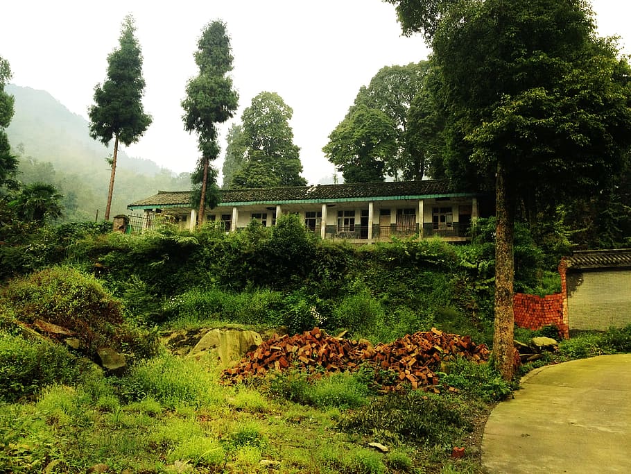 House, Trees, Old, no people, agriculture, day, outdoors, nature HD wallpaper