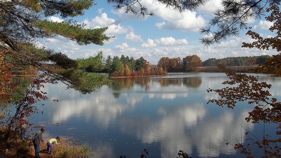 maniwaki, lake, reflection, tree, water, plant, sky, beauty in nature HD wallpaper