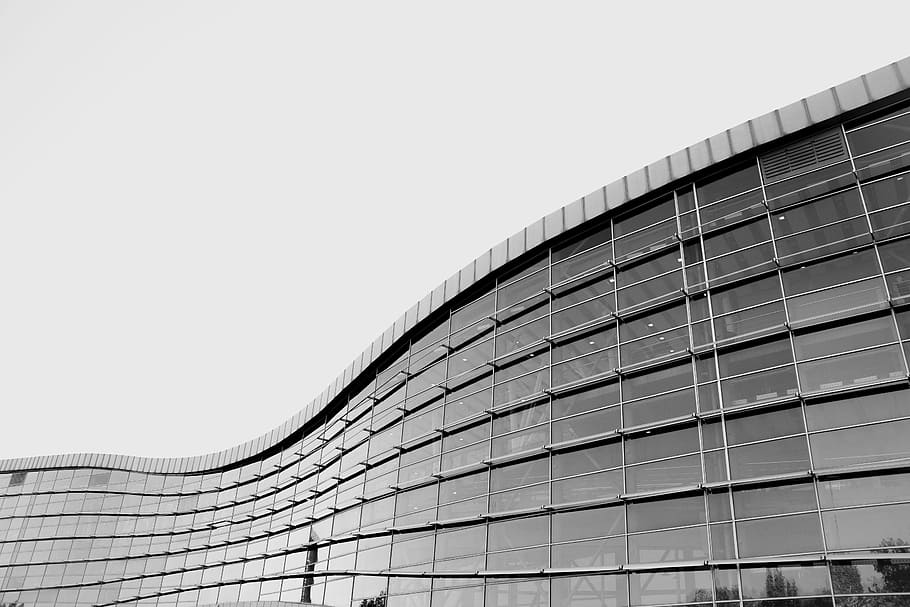 glass building, grayscale photography of curtain wall building HD wallpaper