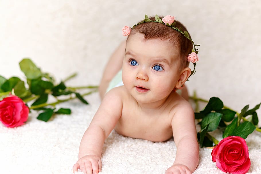 girl, baby, roses, hairband, cute, child, small, caucasian Ethnicity, HD wallpaper