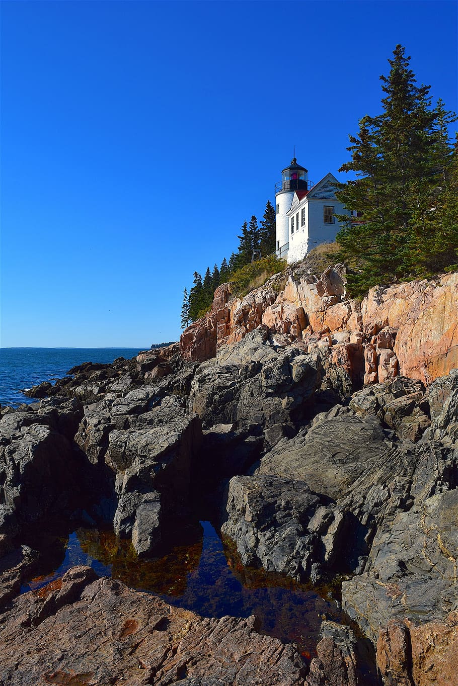 lighthouse, rocks, trees, shoreline, ocean, pine trees, maine HD wallpaper