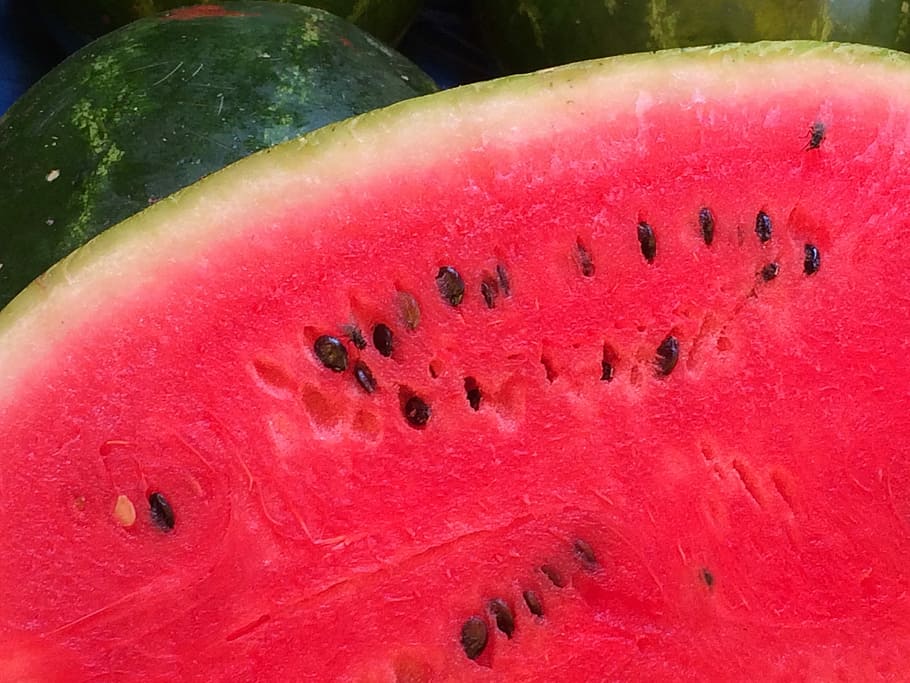 Watermelon, Fruit, Red, Green, Green, Food, nutrition, natural HD wallpaper
