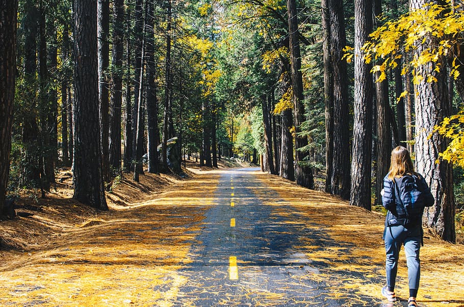 woman in black jacket and pants walking on asphalt road, tree HD wallpaper