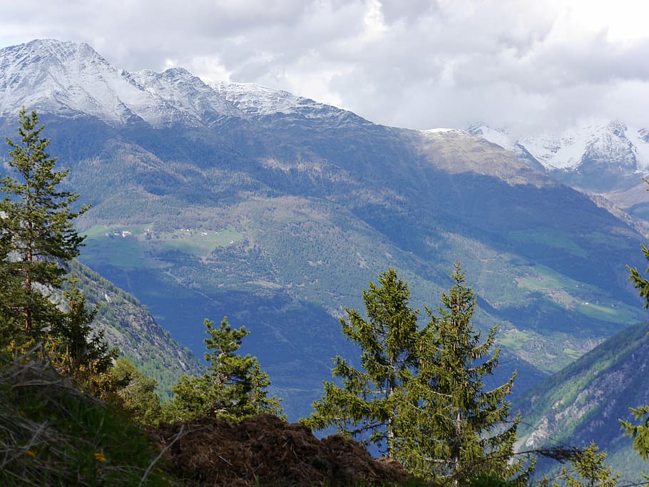 mountains, clouds, sky, tree südtirol, beauty in nature, scenics - nature HD wallpaper