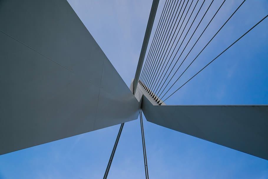 white bridge under blue sky, erasmus, rotterdam, dutch, netherlands HD wallpaper