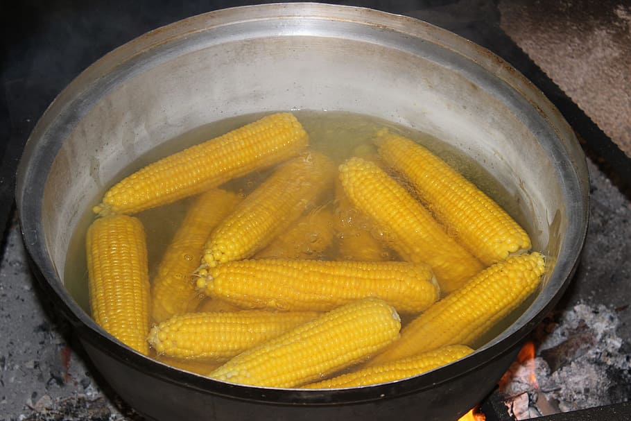 Konya, Pot, Egypt, Boiled, food and drink, yellow, high angle view HD wallpaper