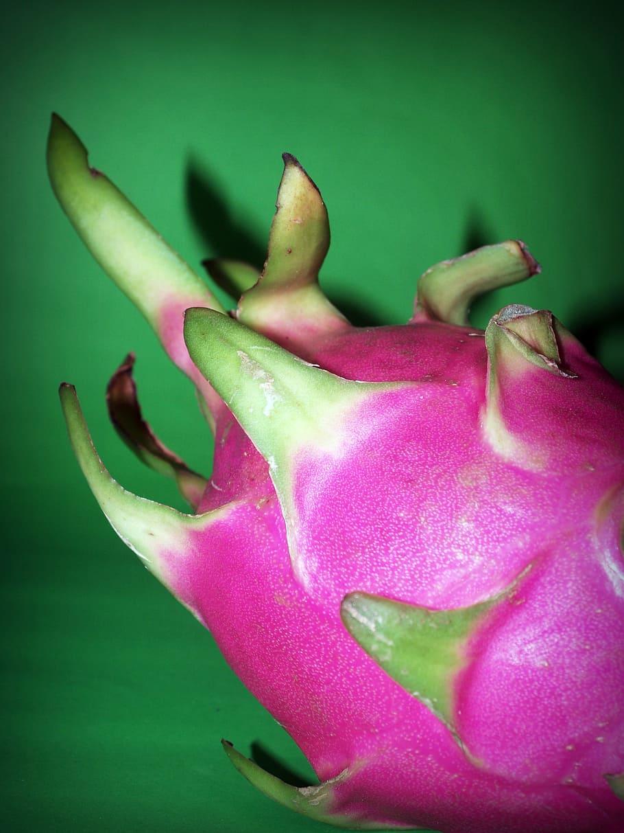 fruit, dragon, closeup, isolated, thailand, succulent, ripe HD wallpaper