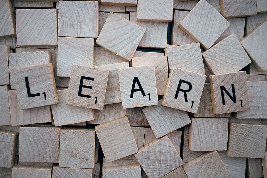 scrabble chip with learn text over lay, word, letters, wooden HD wallpaper
